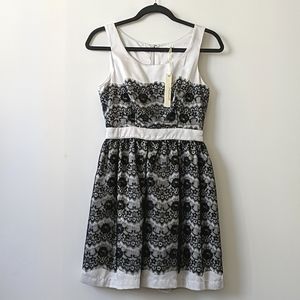 Minuet Silver Party Dress With Black Lace